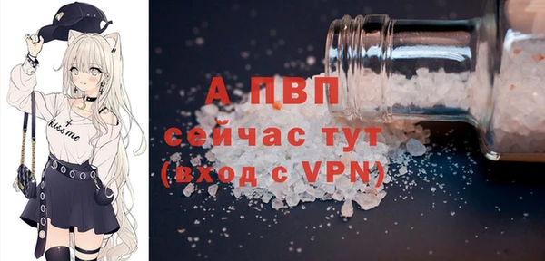 apvp Вяземский