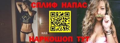 бошки Кингисепп