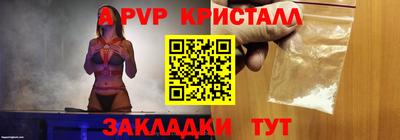 бошки Кингисепп