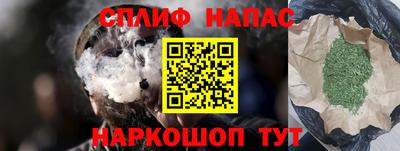 прущие грибы Кимры
