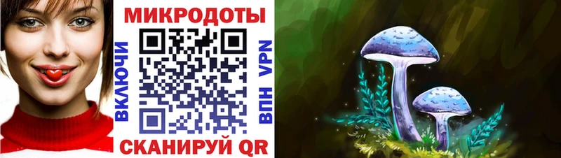 Псилоцибиновые грибы GOLDEN TEACHER  это какой сайт  Краснокаменск 