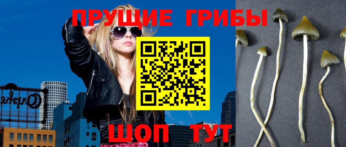 Псилоцибиновые грибы ЛСД Краснокаменск