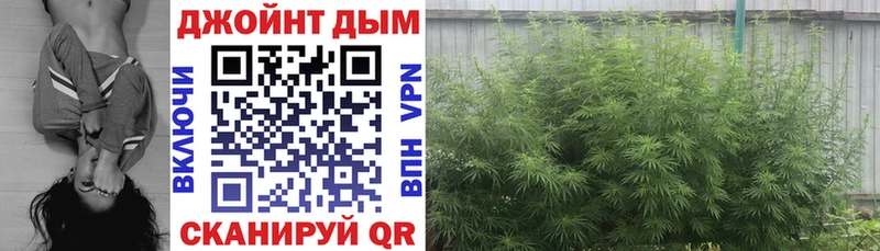 дарнет шоп  OMG рабочий сайт  Бошки марихуана Bruce Banner  Краснокаменск 